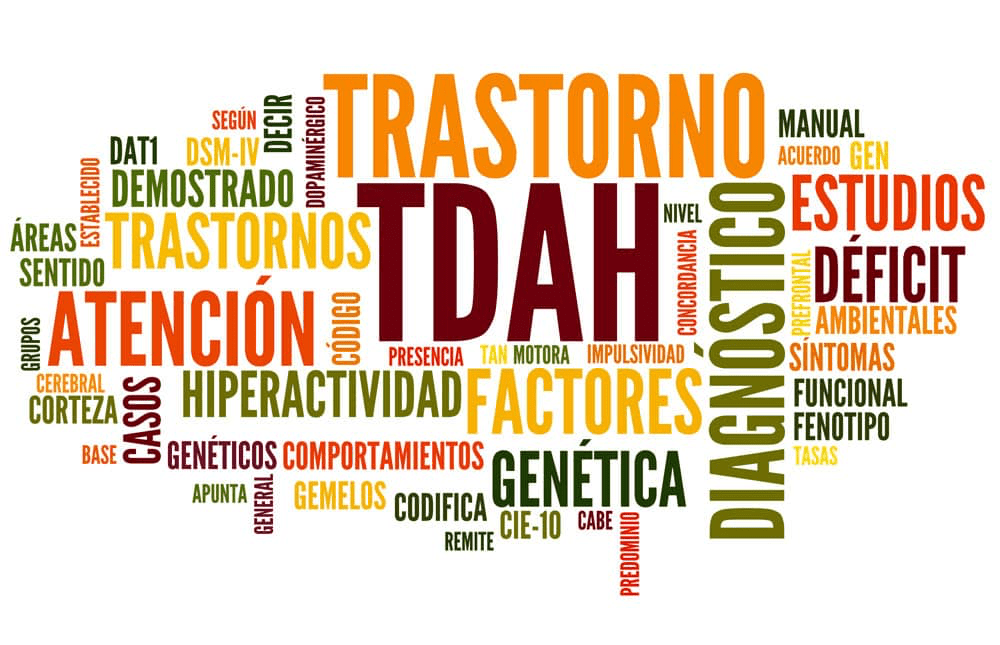 Nube de palabras relacionada con el trastorno por déficit de atención e hiperactividad (TDAH), destacando términos como diagnóstico, síntomas, factores genéticos y estudios.